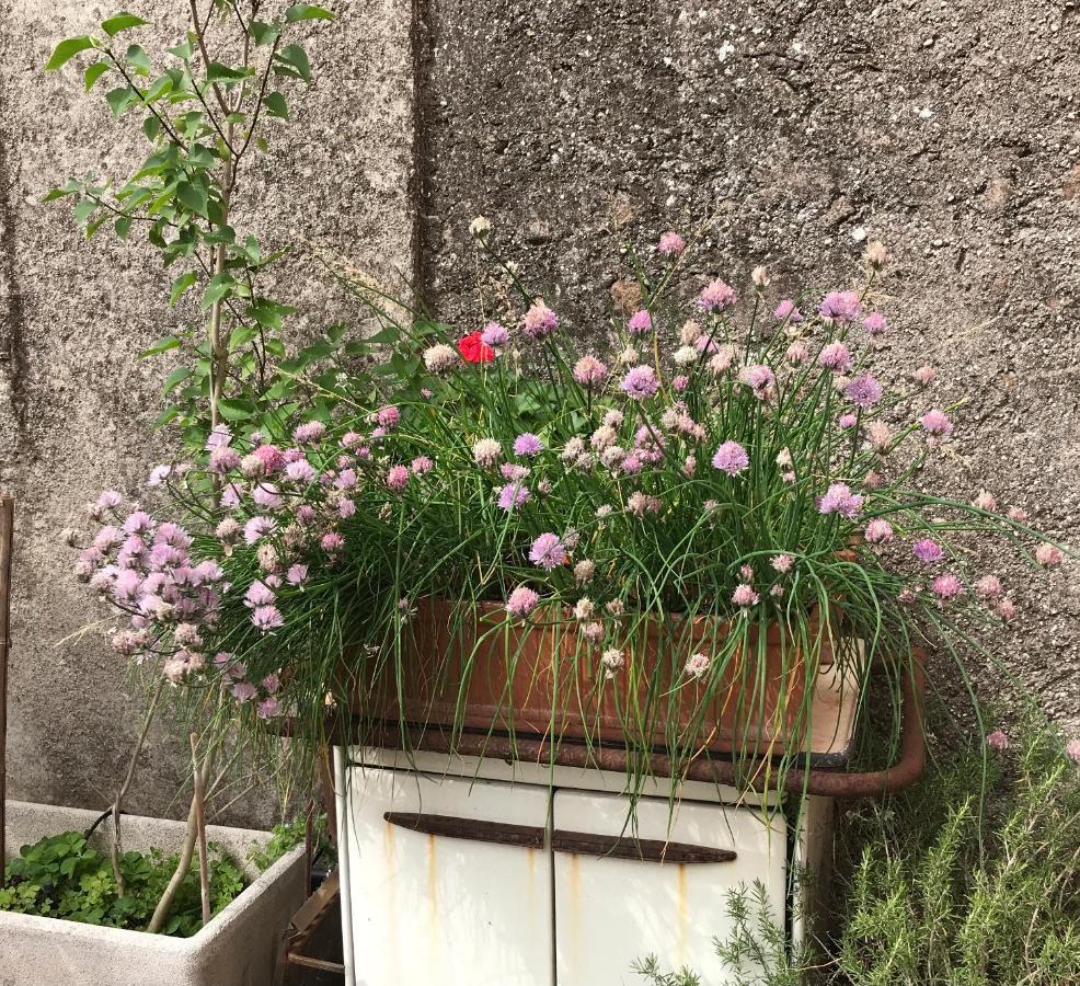 Una Casa Di Campagna ドッソブオノ エクステリア 写真
