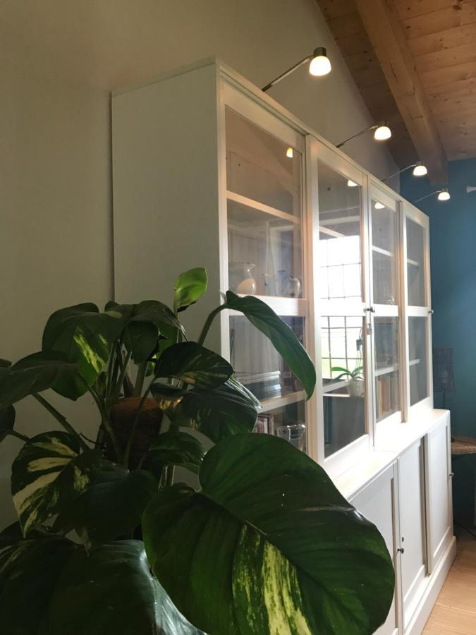 Una Casa Di Campagna ドッソブオノ エクステリア 写真