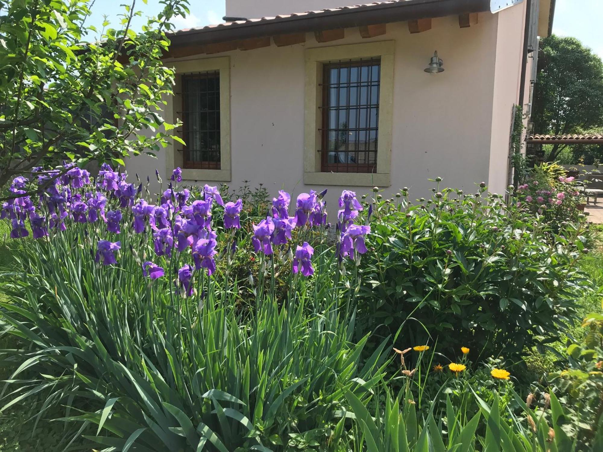 Una Casa Di Campagna ドッソブオノ エクステリア 写真